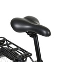 BIC ELECTRICA TOPMEGA PASEO ALUM R700 250W 36V 6VEL NEGRO