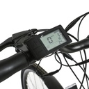 BIC ELECTRICA TOPMEGA PASEO ALUM R700 250W 36V 6VEL NEGRO